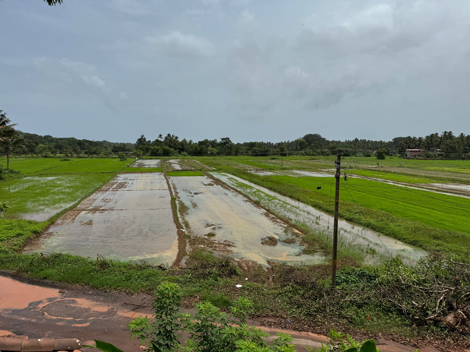 Independent villa -  sangolda , north goa