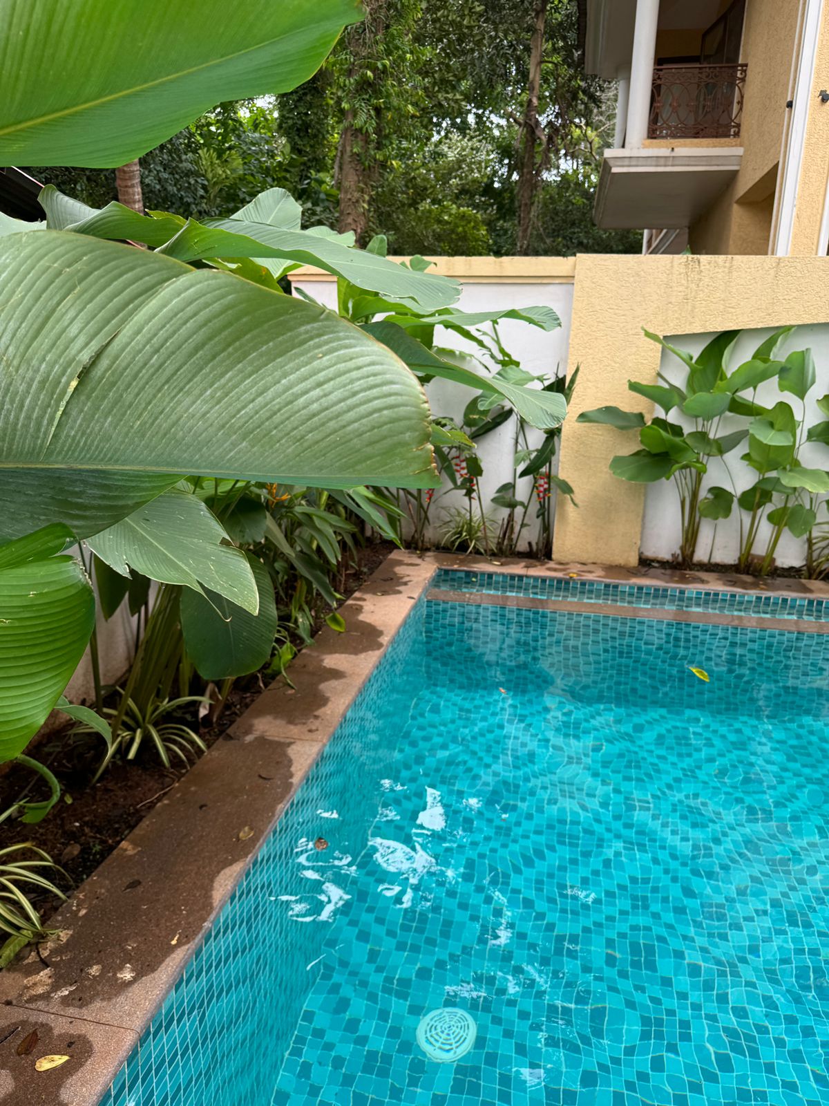 Independent villa -  sangolda , north goa